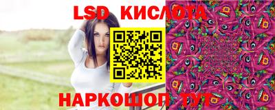 мдпв Гусев