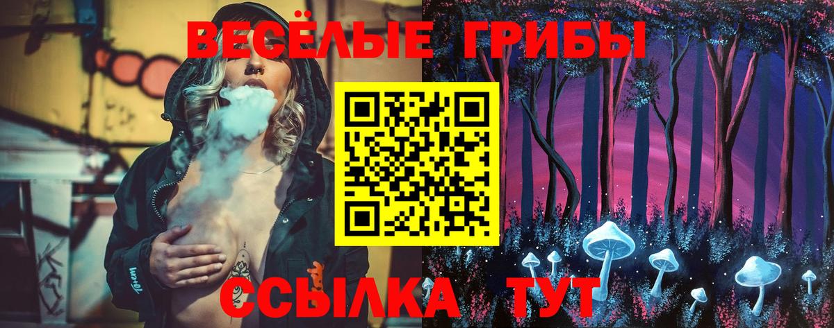 Псилоцибиновые грибы Magic Shrooms  Вход с VPN  продажа наркотиков  Кизляр 