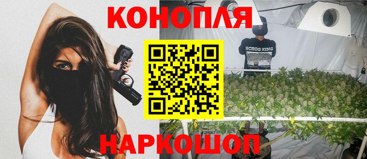 Конопля план Кизляр